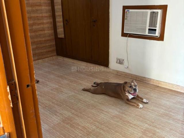 1 BHK Villa in Sector 26 for rent Noida. The reference number is 20326954