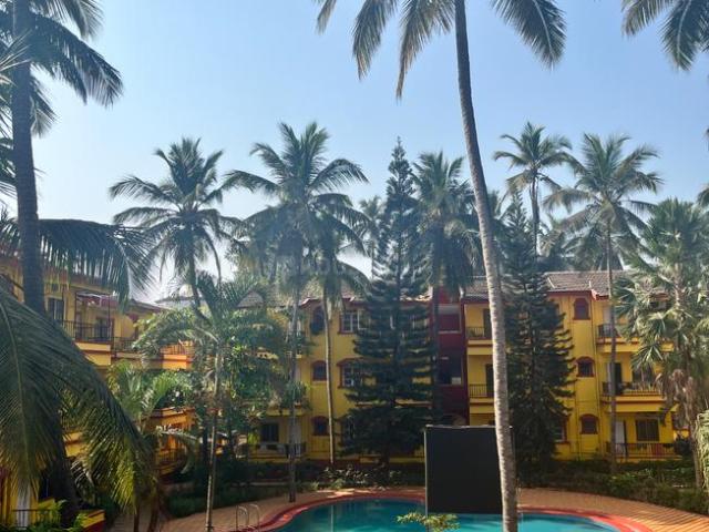 1 BHK Apartment in Calangute for rent Goa. The reference number is 20925198
