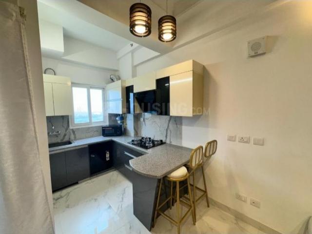 1 BHK Apartment in Chi V for rent Greater Noida. The reference number is 19545699