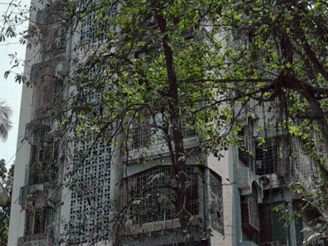 1 BHK Apartment in Borivali West for resale Mumbai. The reference number is 20756185