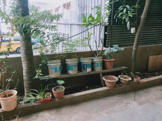 1 BHK Apartment in Bavdhan for rent Pune. The reference number is 20757356