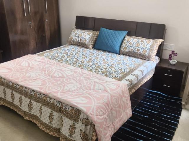 1 BHK Apartment in Bhankrota for rent Jaipur. The reference number is 20194782