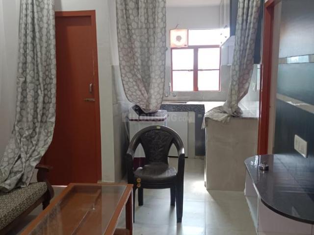 1 BHK Apartment in Goleta for rent Alwar. The reference number is 20946314