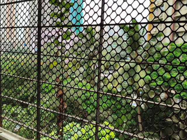 1 BHK Apartment in Goregaon East for rent Mumbai. The reference number is 20902696