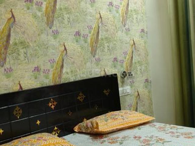 1 BHK Apartment in Gazipur for rent Zirakpur. The reference number is 20439659