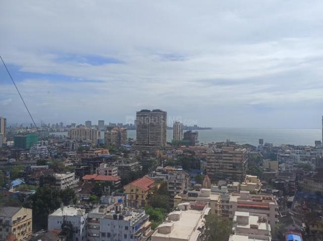 1 BHK Apartment in Grant Road for resale Mumbai. The reference number is 18846307