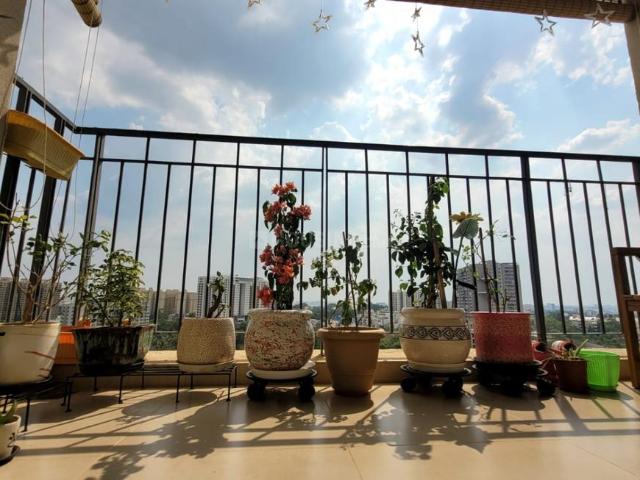 1 BHK Apartment in Gummanahalli for rent Bengaluru. The reference number is 20372130