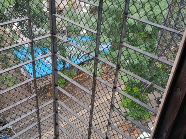 1 BHK Apartment in Dahisar West for rent Mumbai. The reference number is 20843549