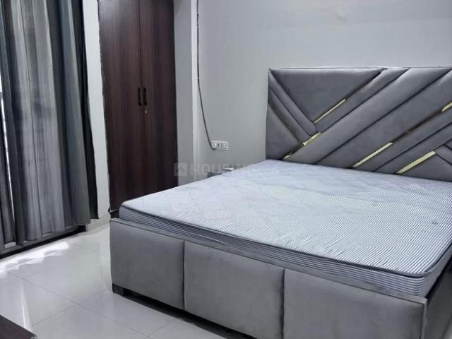 1 BHK Apartment in DLF Phase 2 for rent Gurgaon. The reference number is 20437202