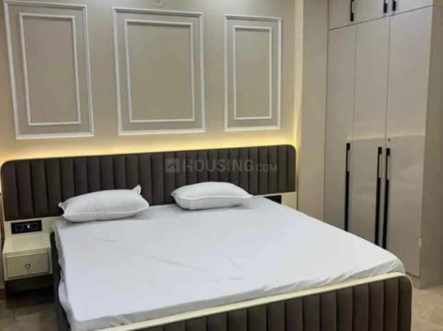 1 BHK Apartment in DLF Phase 2 for rent Gurgaon. The reference number is 20528753