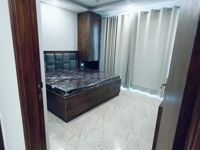 1 BHK Apartment in DLF Phase 3 for rent Gurgaon. The reference number is 19609438