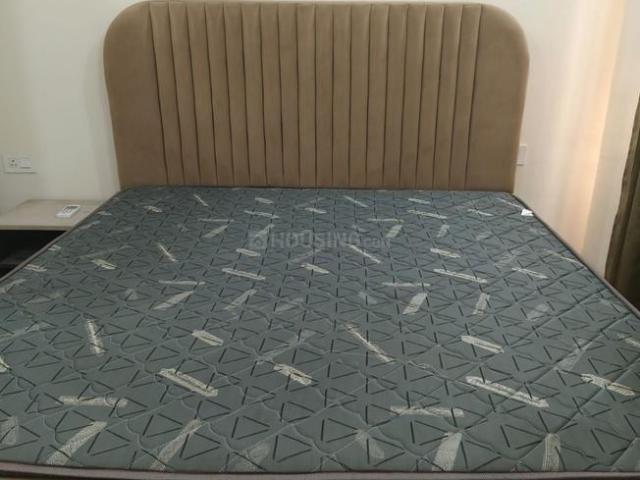 1 BHK Apartment in DLF Phase 3 for rent Gurgaon. The reference number is 20475846