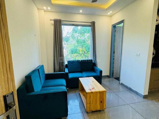 1 BHK Apartment in DLF Phase 3 for rent Gurgaon. The reference number is 20685430