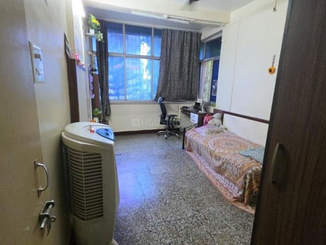 1 BHK Apartment in Kothrud for rent Pune. The reference number is 20691070