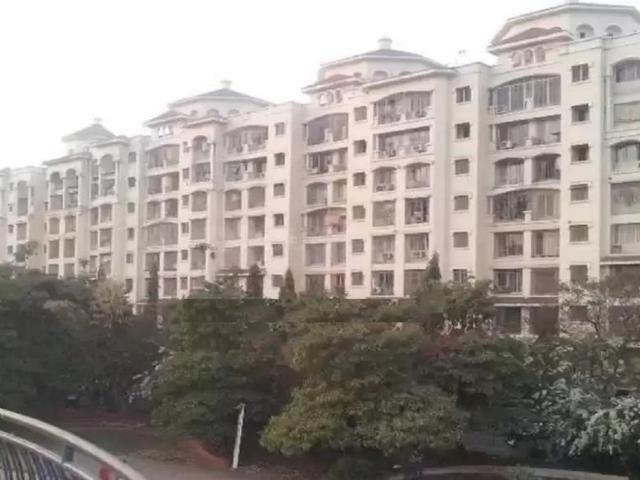 1 BHK Apartment in Kandivali East for rent Mumbai. The reference number is 8151045
