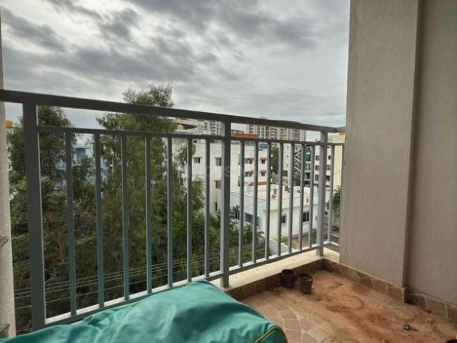 1 BHK Apartment in Kasavanahalli for rent Bengaluru. The reference number is 20245773
