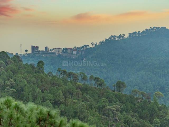 1 BHK Apartment in Kumarhatti for resale Solan. The reference number is 17094849