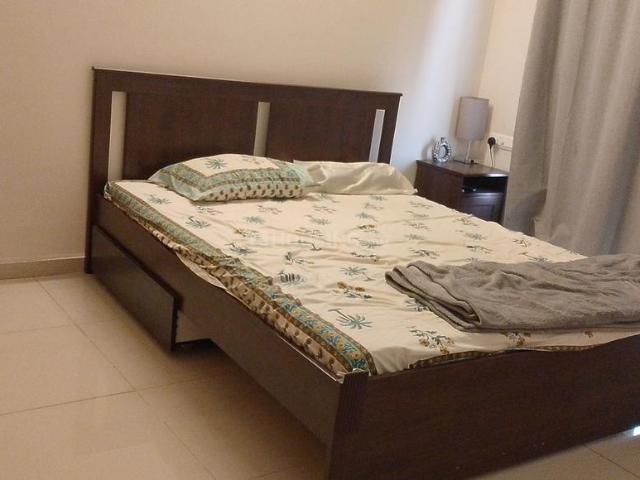 1 BHK Apartment in Hinjawadi for rent Pune. The reference number is 18556315