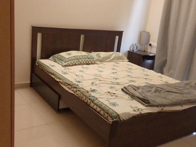1 BHK Apartment in Hinjawadi for rent Pune. The reference number is 18656815