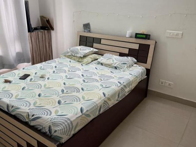1 BHK Apartment in Hinjawadi for rent Pune. The reference number is 20469451