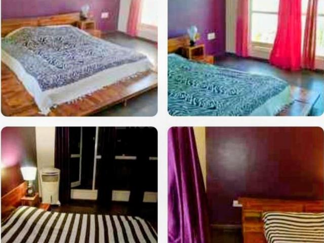 1 BHK Apartment in Indira Nagar for rent Bengaluru. The reference number is 20658759