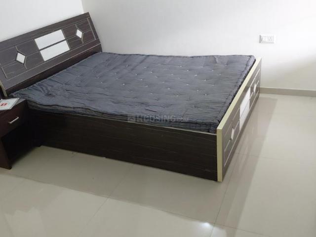 1 BHK Apartment in Lohegaon for rent Pune. The reference number is 20591004
