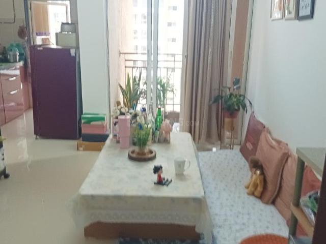 1 BHK Apartment in Mira Road East for rent Mira Bhayandar. The reference number is 20797127