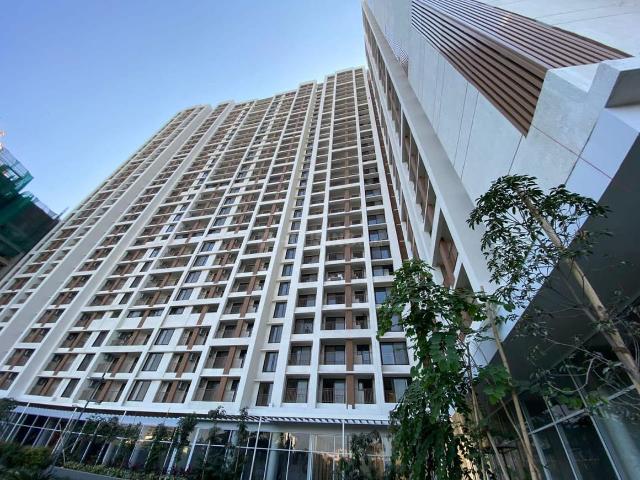 1 BHK Apartment in Mira Road East for rent Mira Bhayandar. The reference number is 20895805