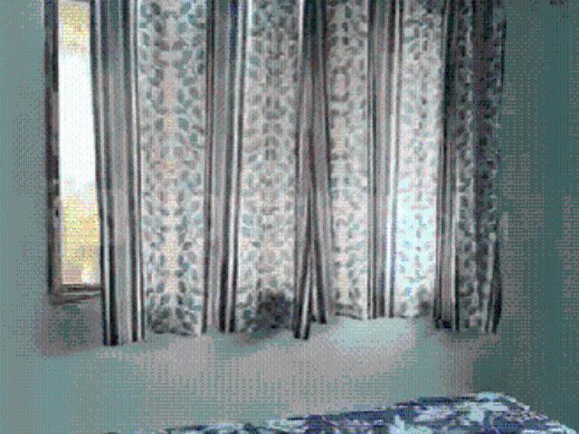 1 BHK Apartment in Mira Road East for rent Mira Bhayandar. The reference number is 20969027