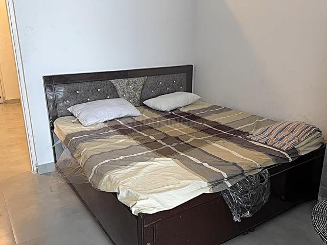 1 BHK Apartment in Noida Extension for rent Greater Noida. The reference number is 18479182