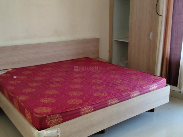 1 BHK Apartment in Noida Extension for rent Greater Noida. The reference number is 18968446
