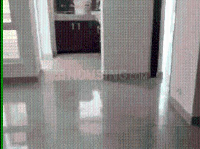 1 BHK Apartment in Noida Extension for rent Greater Noida. The reference number is 19720806