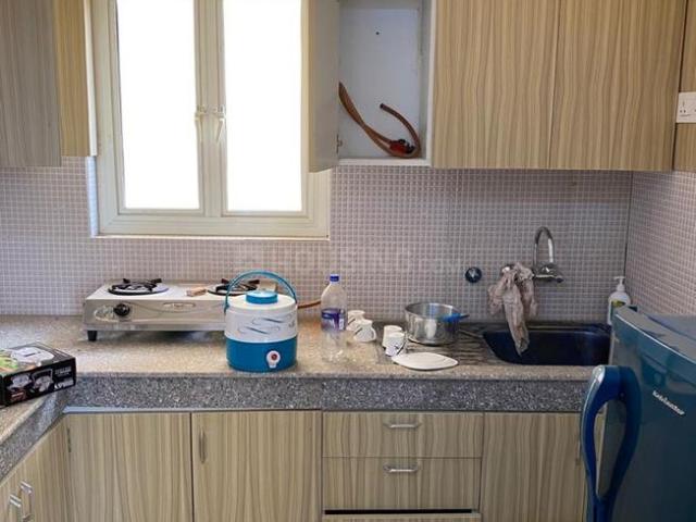 1 BHK Apartment in Noida Extension for rent Greater Noida. The reference number is 20490647