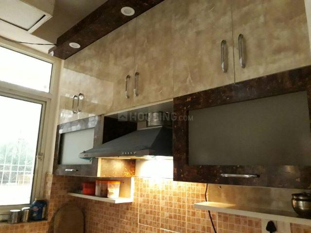 1 BHK Apartment in Noida Extension for rent Greater Noida. The reference number is 20727202