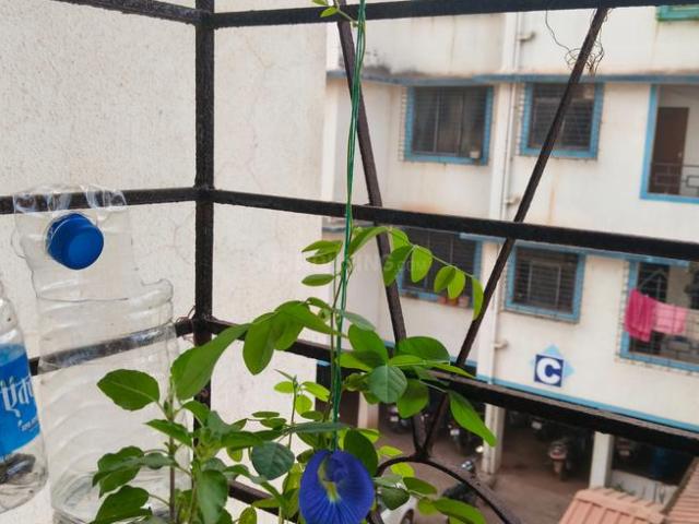1 BHK Apartment in Nachane for rent Ratnagiri. The reference number is 20207657
