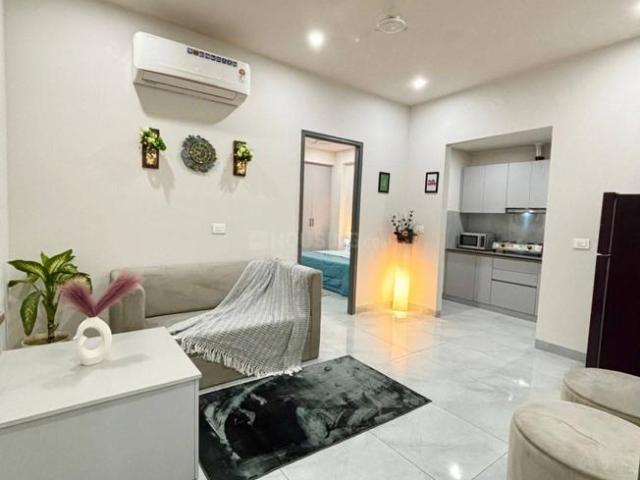 1 BHK Apartment in New Ranip for rent Ahmedabad. The reference number is 20472011