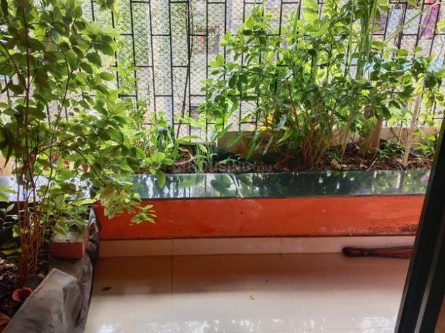 1 BHK Apartment in Nerul for rent Navi Mumbai. The reference number is 20749697