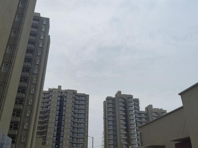 1 BHK Apartment in Southern Peripheral Road for rent Gurgaon. The reference number is 20919960
