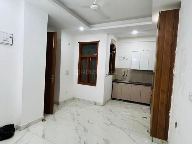 1 BHK Apartment in Saket for rent New Delhi. The reference number is 20479453