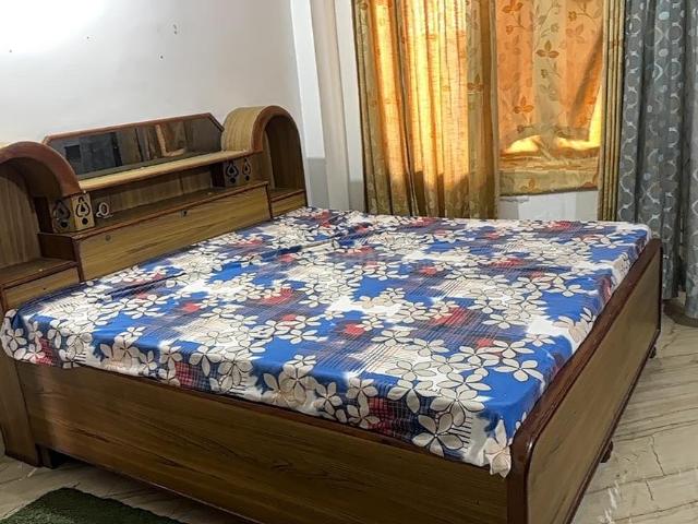 1 BHK Apartment in Sector 02 for rent Bahadurgarh. The reference number is 19536543