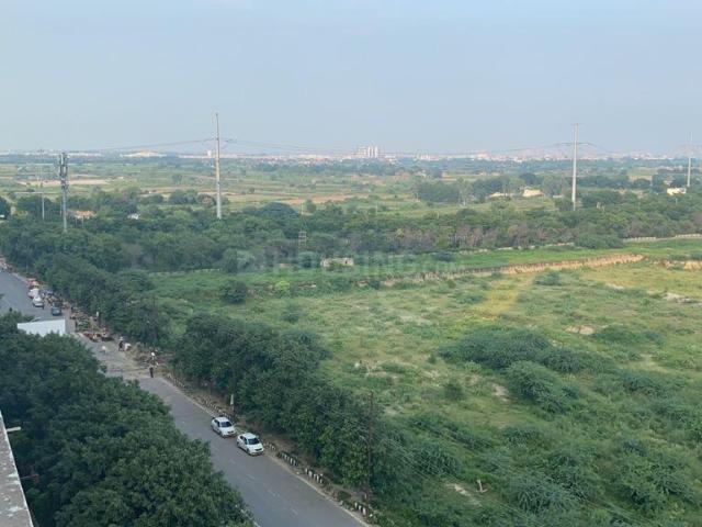 1 BHK Apartment in Sector 143 for rent Noida. The reference number is 20485917