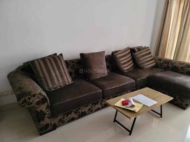 1 BHK Apartment in Sector 168 for rent Noida. The reference number is 20382362