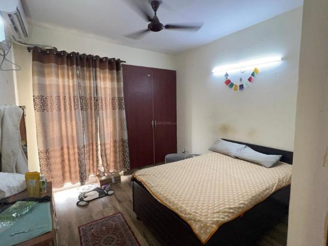 1 BHK Apartment in Sector 168 for rent Noida. The reference number is 20579632