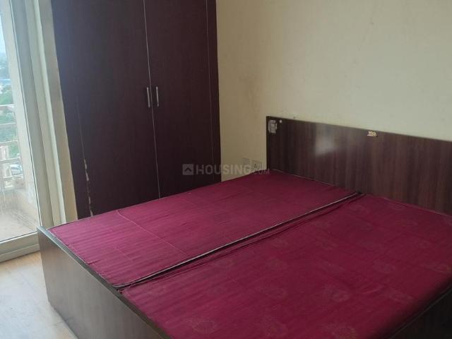 1 BHK Apartment in Sector 168 for rent Noida. The reference number is 20782690