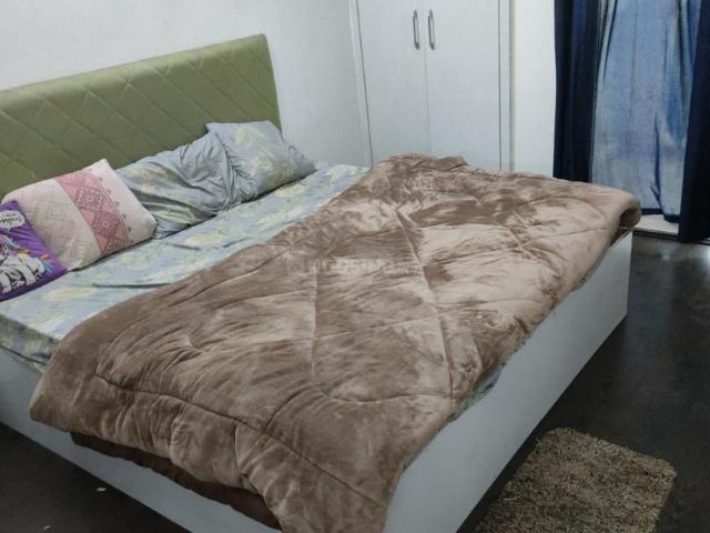 1 BHK Apartment in Sector 168 for resale Noida. The reference number is 20917239