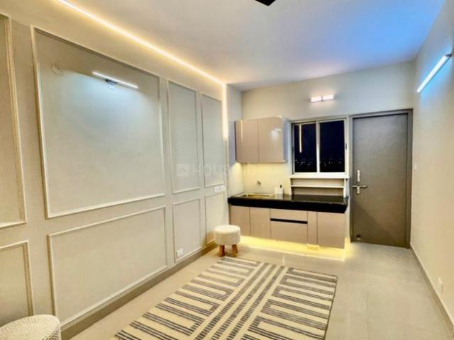 1 BHK Apartment in Sector 19 Dwarka for rent New Delhi. The reference number is 20751877