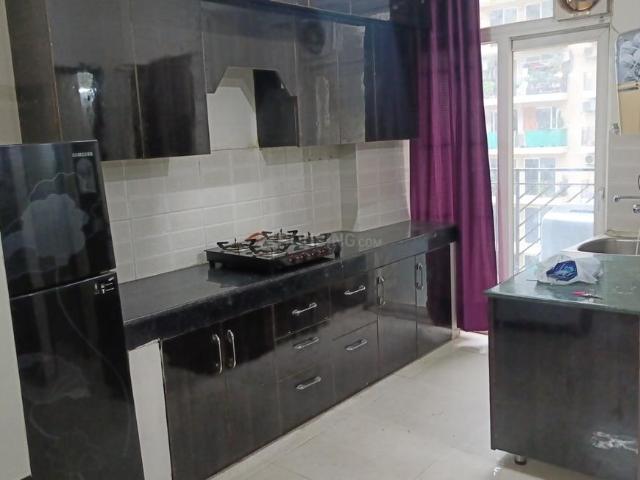 1 BHK Apartment in Sector 103 for rent Gurgaon. The reference number is 20721475