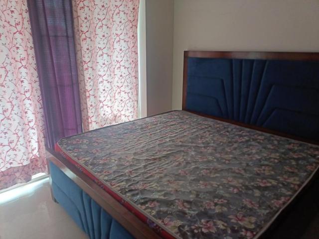 1 BHK Apartment in Sector 103 for rent Gurgaon. The reference number is 20759701