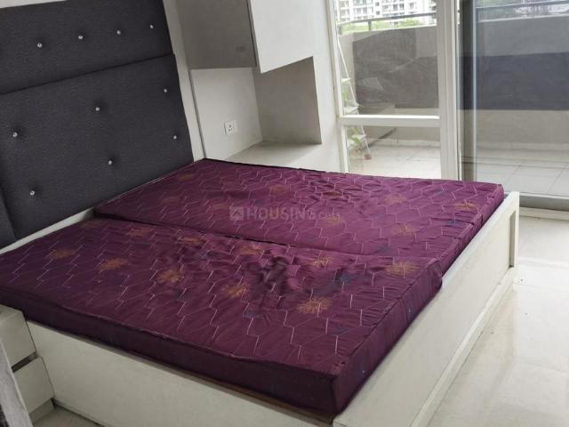1 BHK Apartment in Sector 103 for rent Gurgaon. The reference number is 20788230