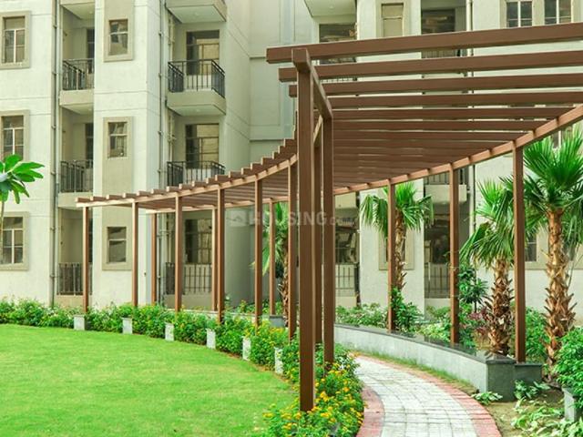 1 BHK Apartment in Sector 107 for resale Gurgaon. The reference number is 20891539